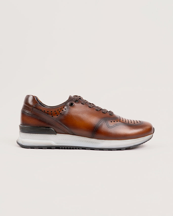 Sneaker Donatello Oak